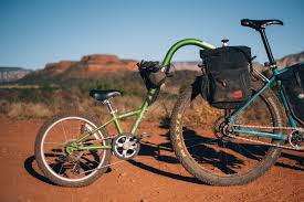 Burley Piccolo Review