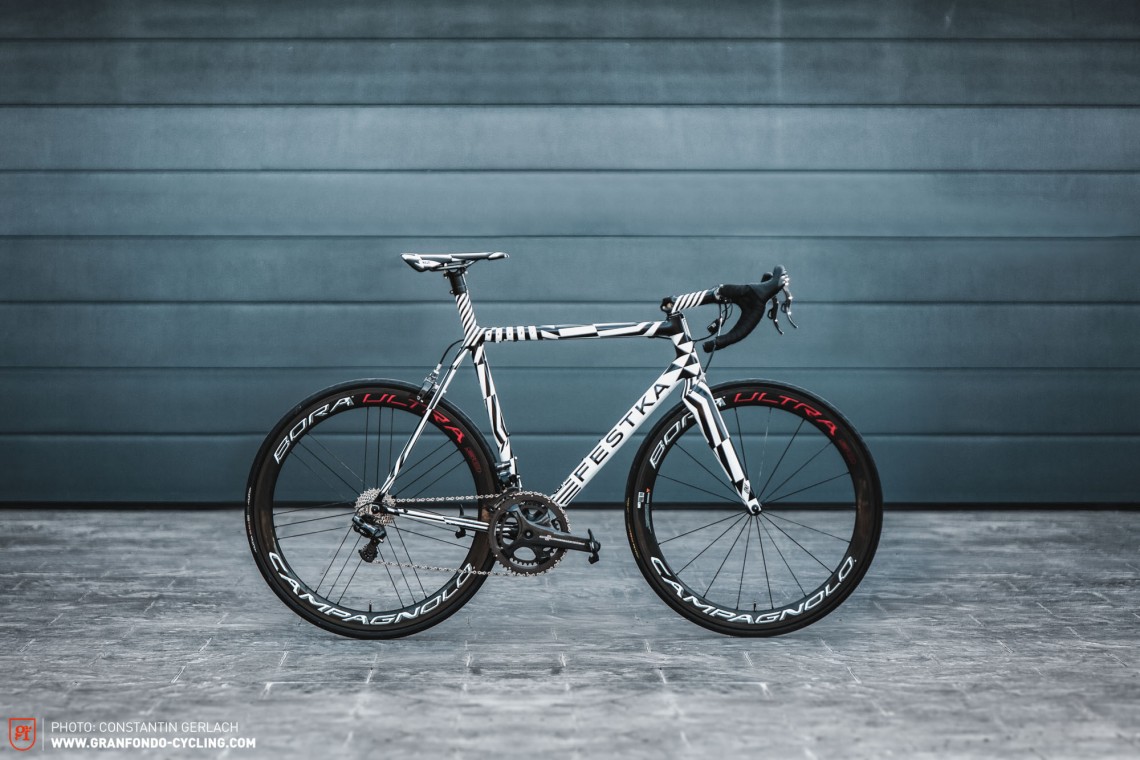 Festka One LT Dazzle Review